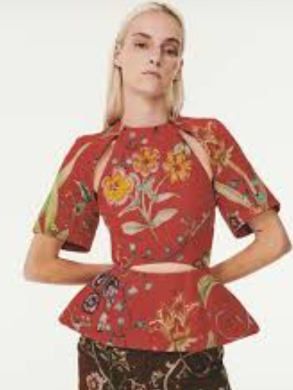 $1855 Rosie Assoulin /Editor Hand-Painted Floral- Print Top In Red Size 6 Nwt
